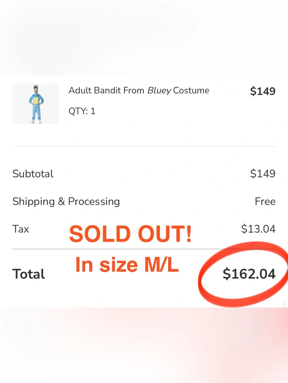 Pottery Barn- Adult Bluey Bandit Costume